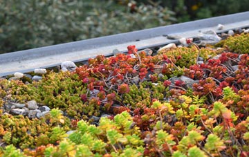 the cost of Little Fencote green roof installation