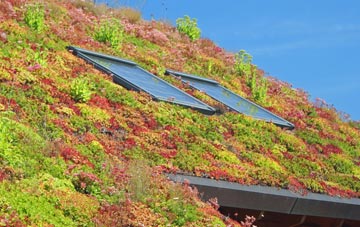 Little Fencote living roof systems