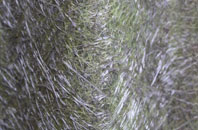 Little Fencote fibreglass roof work